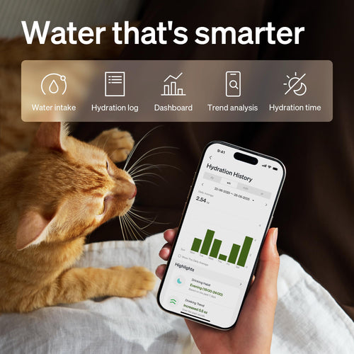 PETLIBRO Upgrade Katze Wasserbrunnen, Kabelloser Katzenbrunnen Batteriebetrieben, App Überwachung 3L/2,863.3 g Dockstream 2 Haustier Wasserbrunnen mit Edelstahlschale, 5GHz WiFi Hund Wassernapfspender
