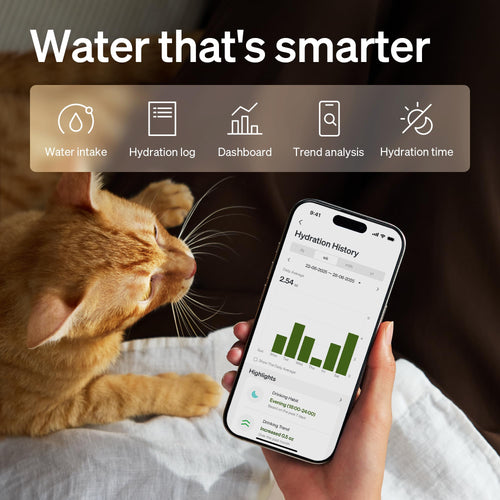 PETLIBRO Upgrade Katze Wasserbrunnen, Dockstream 2 Smart App Überwachung Haustier Wasserbrunnen für Katzen Innen, 3L/2,863.3 g Katzenbrunnen Edelstahl Tablett zum Trinken, 5G WiFi Auto Katze